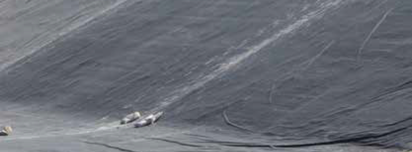 Firestone EPDM gummimembraner.jpg