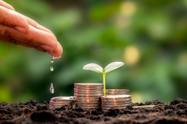 Mynter, grønn spire og jord