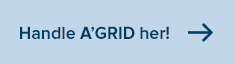 imagenz8zi.png