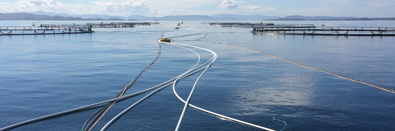 Oppdrettsanlegg med flere merder på åpent hav, koblet sammen med lange rørledninger for vannforsyning og fôringssystemer. Fjell i horisonten under blå himmel.