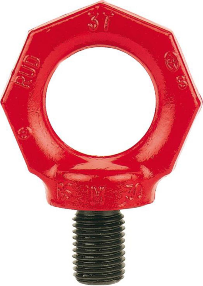 Øyebolt Rud RS - Øyebolt RUD RS 6 John Dahle M6 WLL 0.1T-0.4T