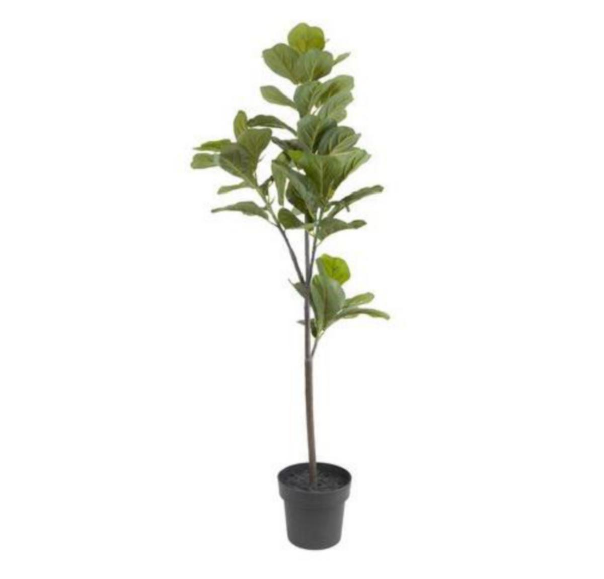 Kunstig plante Fiolinfiken Nordic Season - Kunstig plante Fiolinfiken Nordic Season 140cm