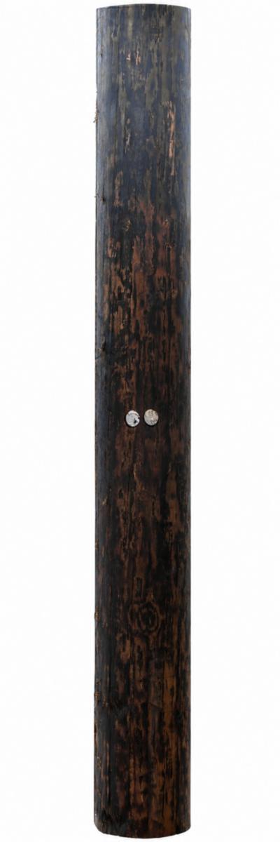 Stolpe RVP Repellent Stab Suecia - 12 M DJB 33 RVP Repellent Stolpe tre