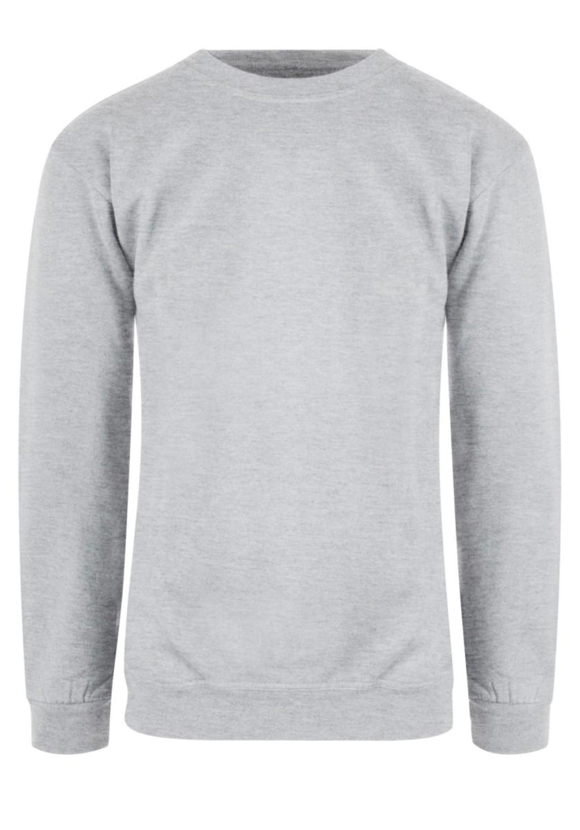 Collegegenser YOU® Classic - Collegegenser YOU Classic Askegrå str 5XL