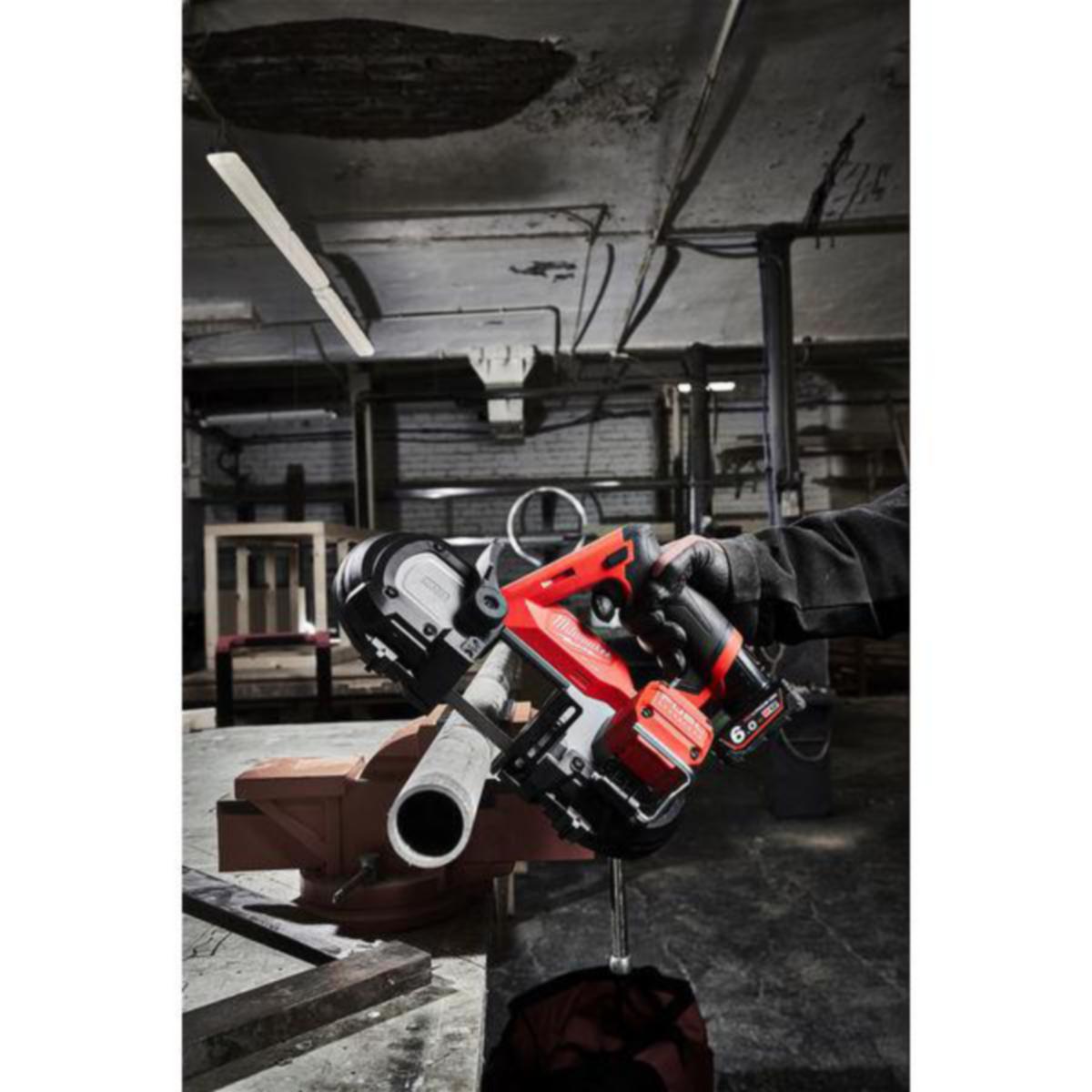 /external-assets/JPEGlarge800_800/43/21/ProductImage72024321.jpg