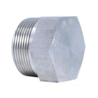 Plugg 6-kt NPT Syrefast AISI 316 3000#