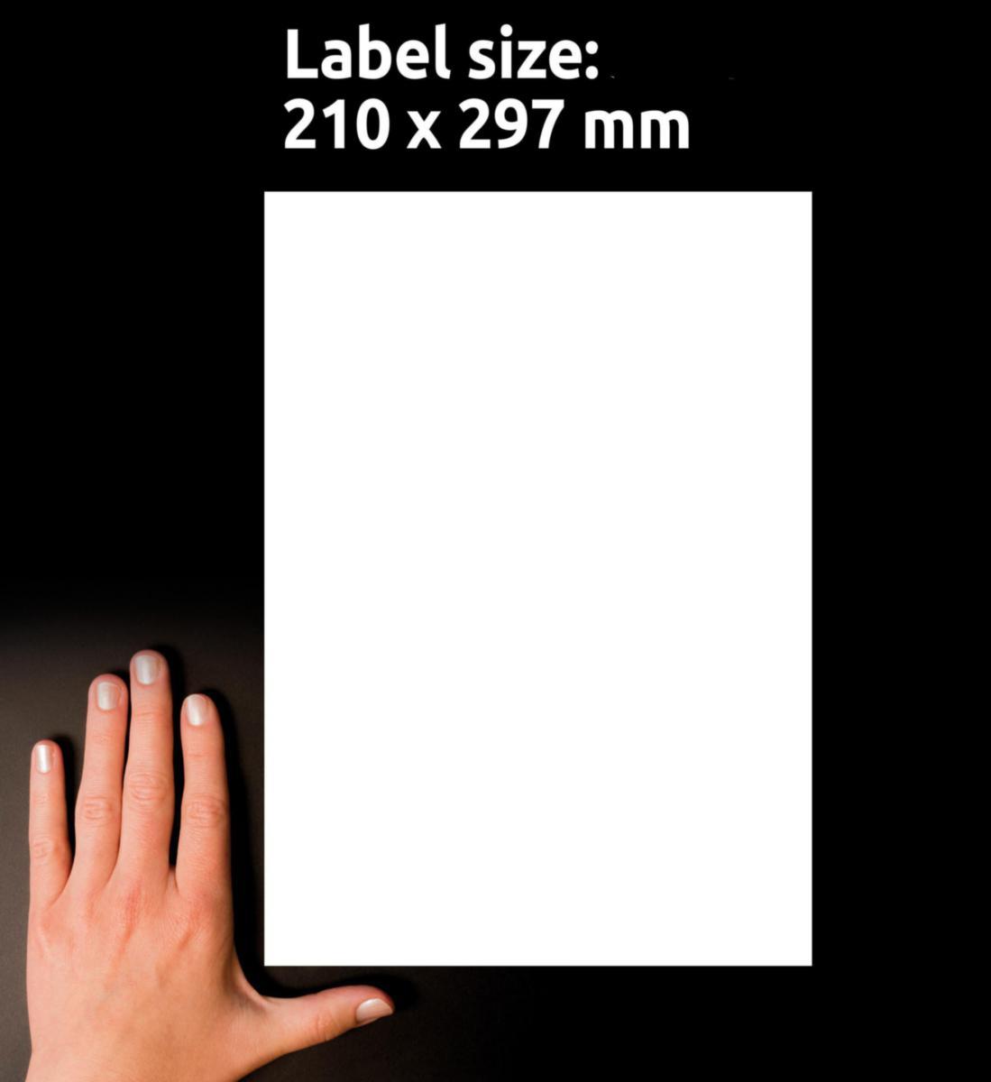 /external-assets/JPEGlarge800_800/57/49/ProductImage83915749.jpg