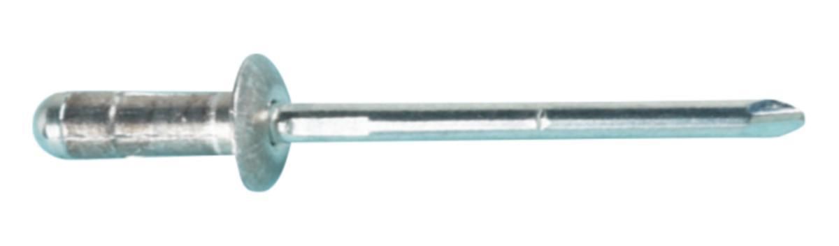 Blindnagle Avex F30/40 - Blindnagle 4.8X10.3 Multigrip alu/stål stort hode Ejot Avex