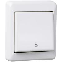 Bryter 2pol Påvegg RS Nordic