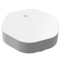 SmartSensor lekkasje trådløs 