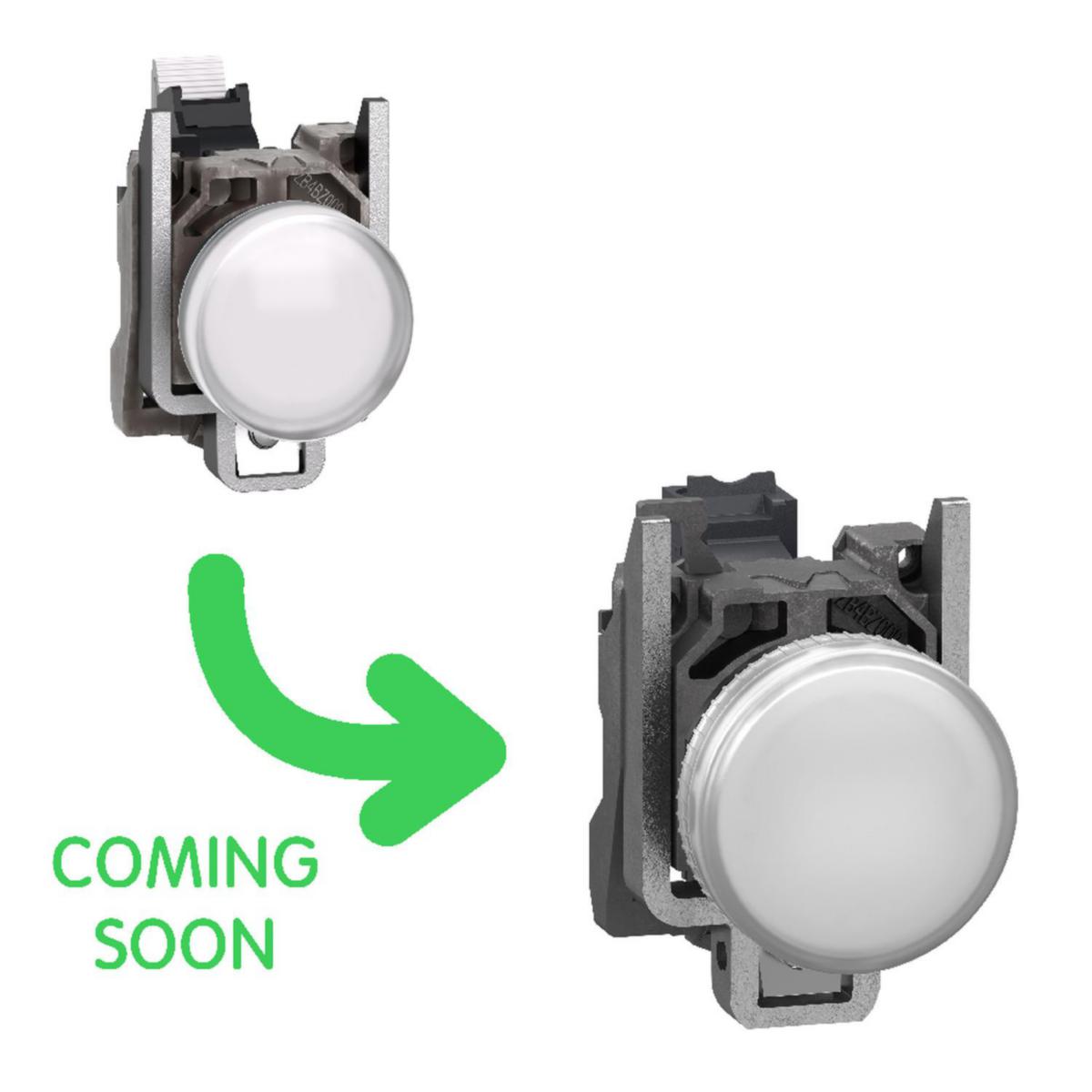 Signallampe Schneider LED push-in - Signallampe hvit 24V LED push-