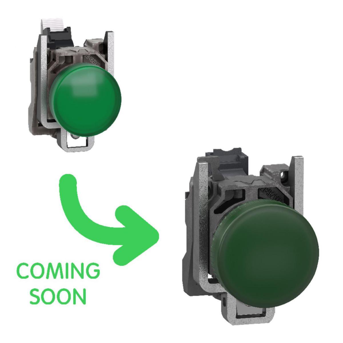 Signallampe Schneider LED push-in - Signallampe grønn 24V LED push