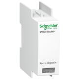 Reserveplugg Schneider Acti9 IPRD